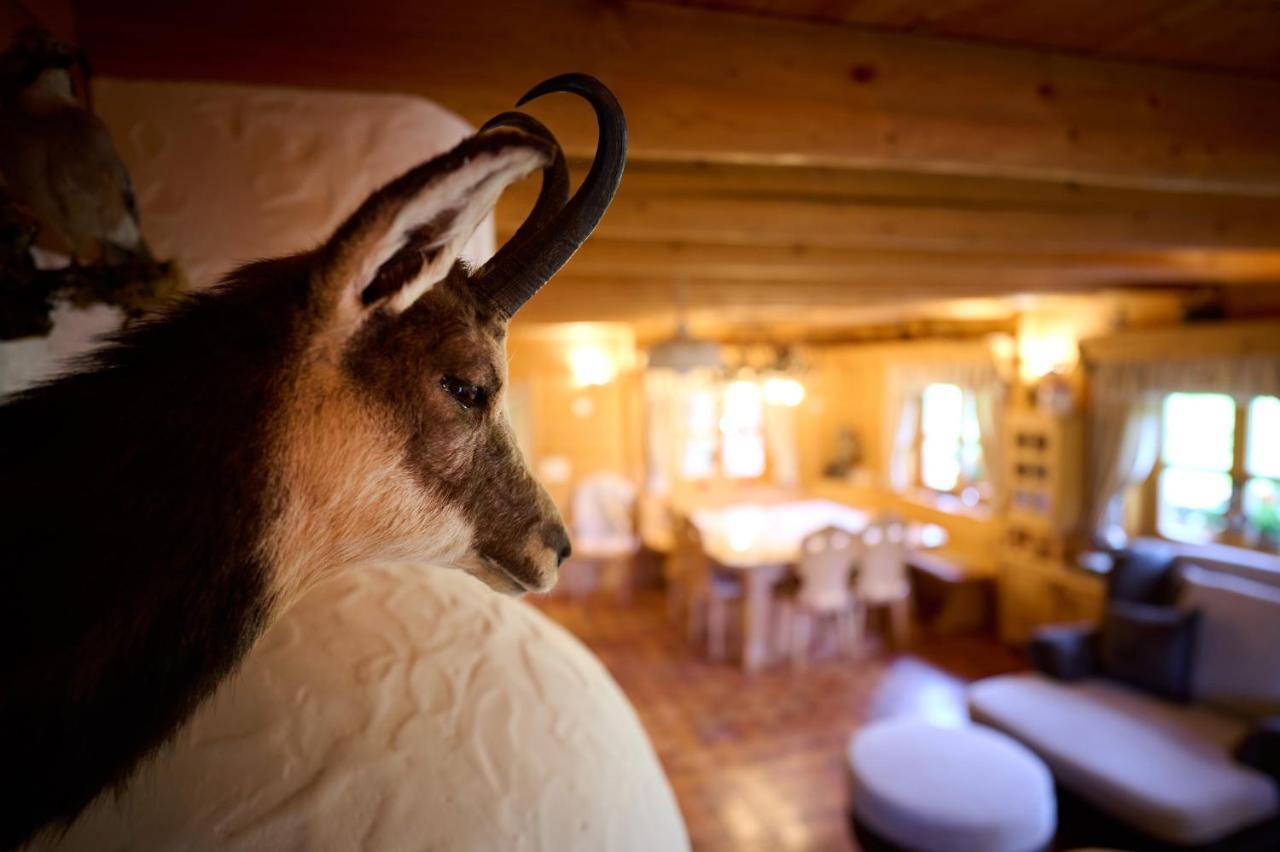Holiday Chalet "Alpine Dreams" With Private Wellness Solčava Exteriör bild