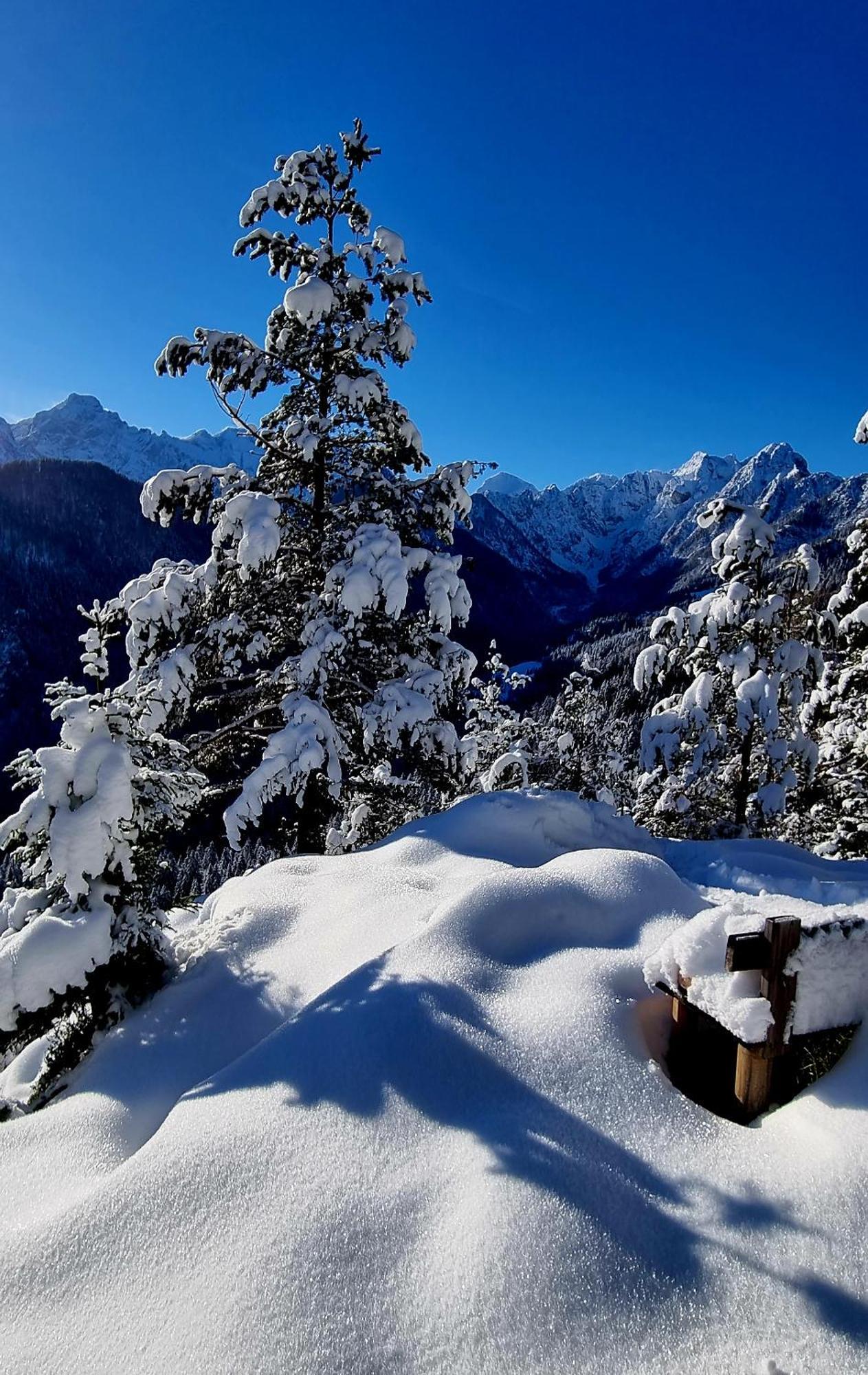 Holiday Chalet "Alpine Dreams" With Private Wellness Solčava Exteriör bild